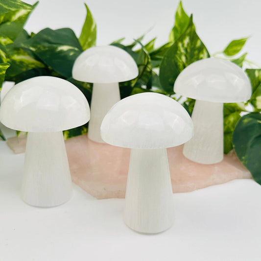 Selenite Crystal Mushroom - Crystals and Sun Signs