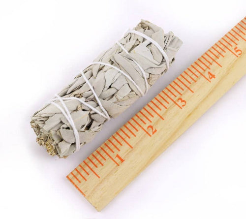 California White Sage Smudge Stick 4" | Crystals and Sun Signs