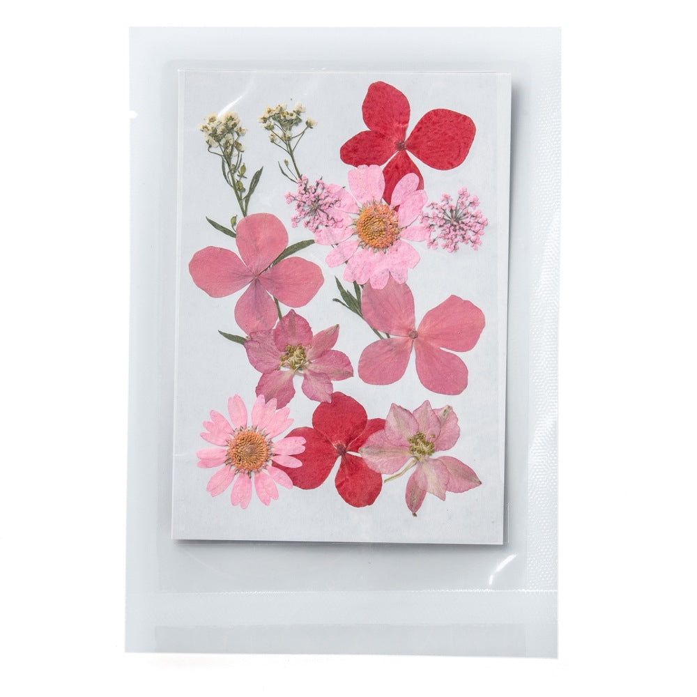 Pressed Dried Pink and Red Flower Sheet