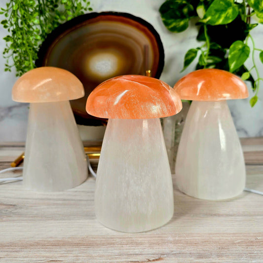 Selenite Crystal Mushroom Lamp - Crystals and Sun Signs