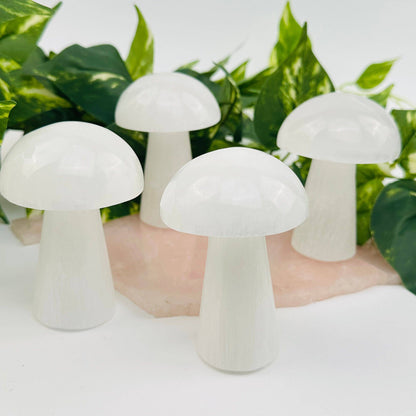 Selenite Crystal Mushroom