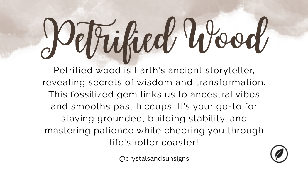 Petrified Wood Bracelet | The Stone of Stability