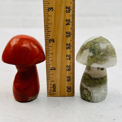 Crystal Gemstone Mushrooms Moss Agate