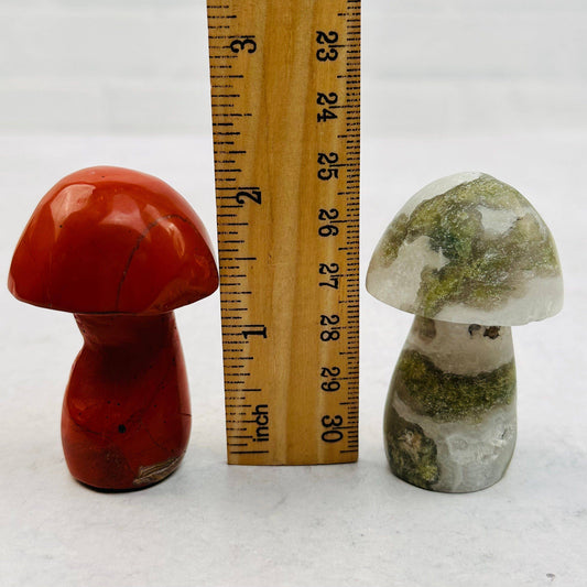 Crystal Gemstone Mushrooms Moss Agate