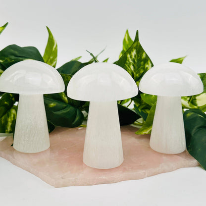 Selenite Crystal Mushroom
