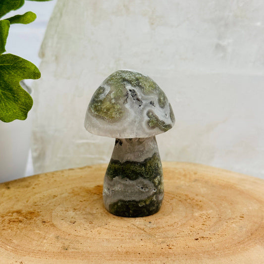 Crystal Gemstone Mushrooms Moss Agate
