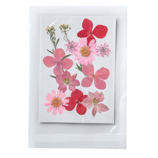 Pressed Dried Pink and Red Flower Sheet