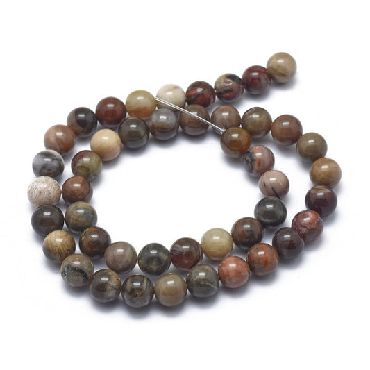 Petrified Wood Round Bead