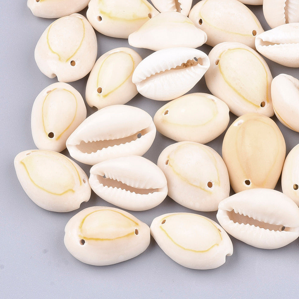 Cowrie Shell Links 5pc
