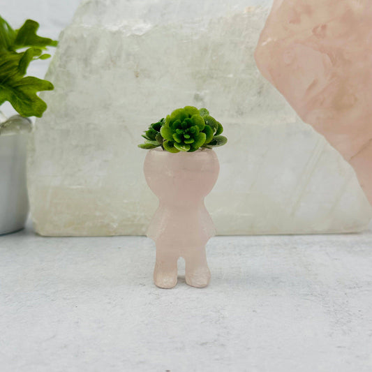 Crystal Gemstone Carved Mini Plant Holder for Air Plants: Rose Quartz