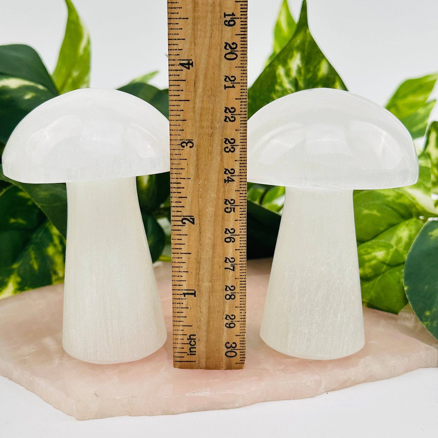 Selenite Crystal Mushroom