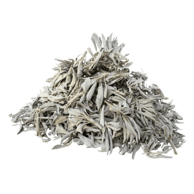 California White Sage Loose 1lb - Premium White Sage from Crystals and Sun Signs Co - Shop now at Crystals and Sun Signs Co