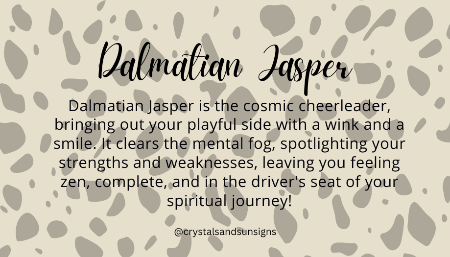 Dalmatian Jasper Gemstone Bracelet - The Stone of Playfulness | Crystals and Sun Signs Co