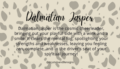 Dalmatian Jasper Gemstone Bracelet - The Stone of Playfulness | Crystals and Sun Signs Co