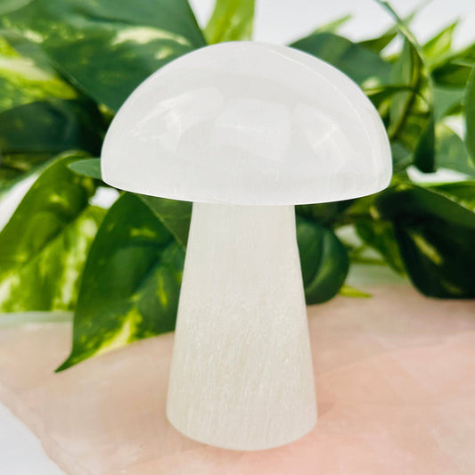 Selenite Crystal Mushroom