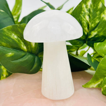 Selenite Crystal Mushroom