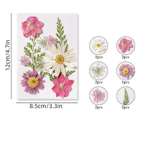 Pressed Dried Flowers Hot Pink 1 Sheet | Alberta Bead Store